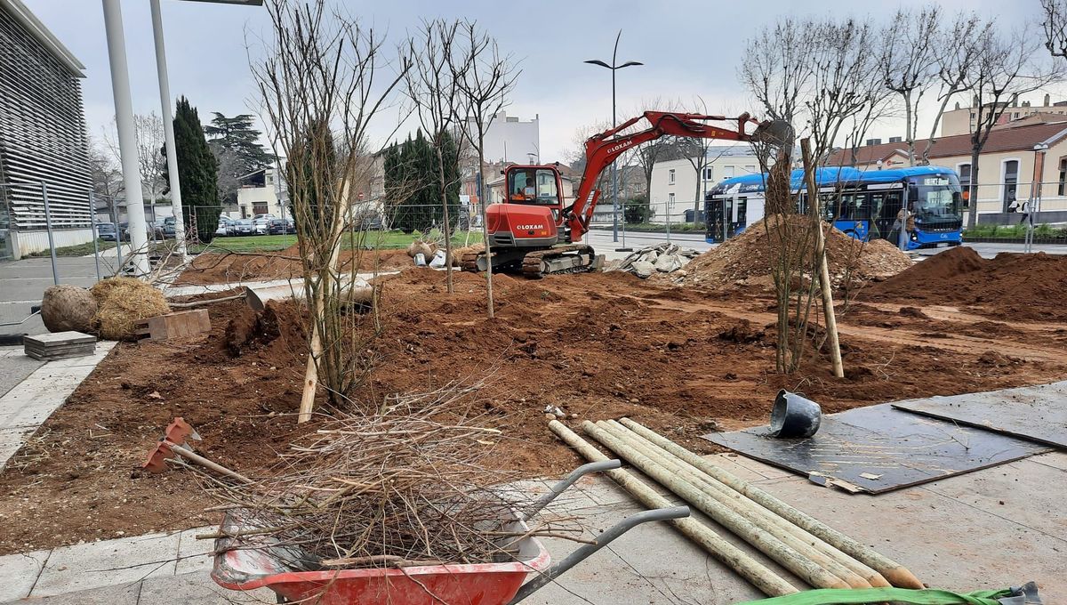 Travaux de végétalisation en cours sur le parvis de l