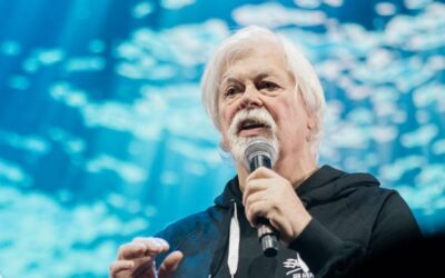 Arrêt de Paul Watson, fondateur de l’ONG Sea Shepherd, par les autorités danoises