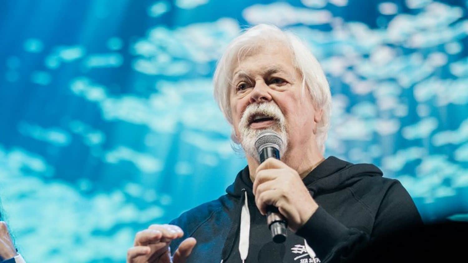 Paul Watson, fondateur de l'ONG de défense des océans Sea Shepherd, arrêté par les autorités danoises