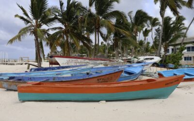 Caraïbes : Ouragan Béryl, exceptionnellement précoce, atteint catégorie 5 avec vents à 200km/h