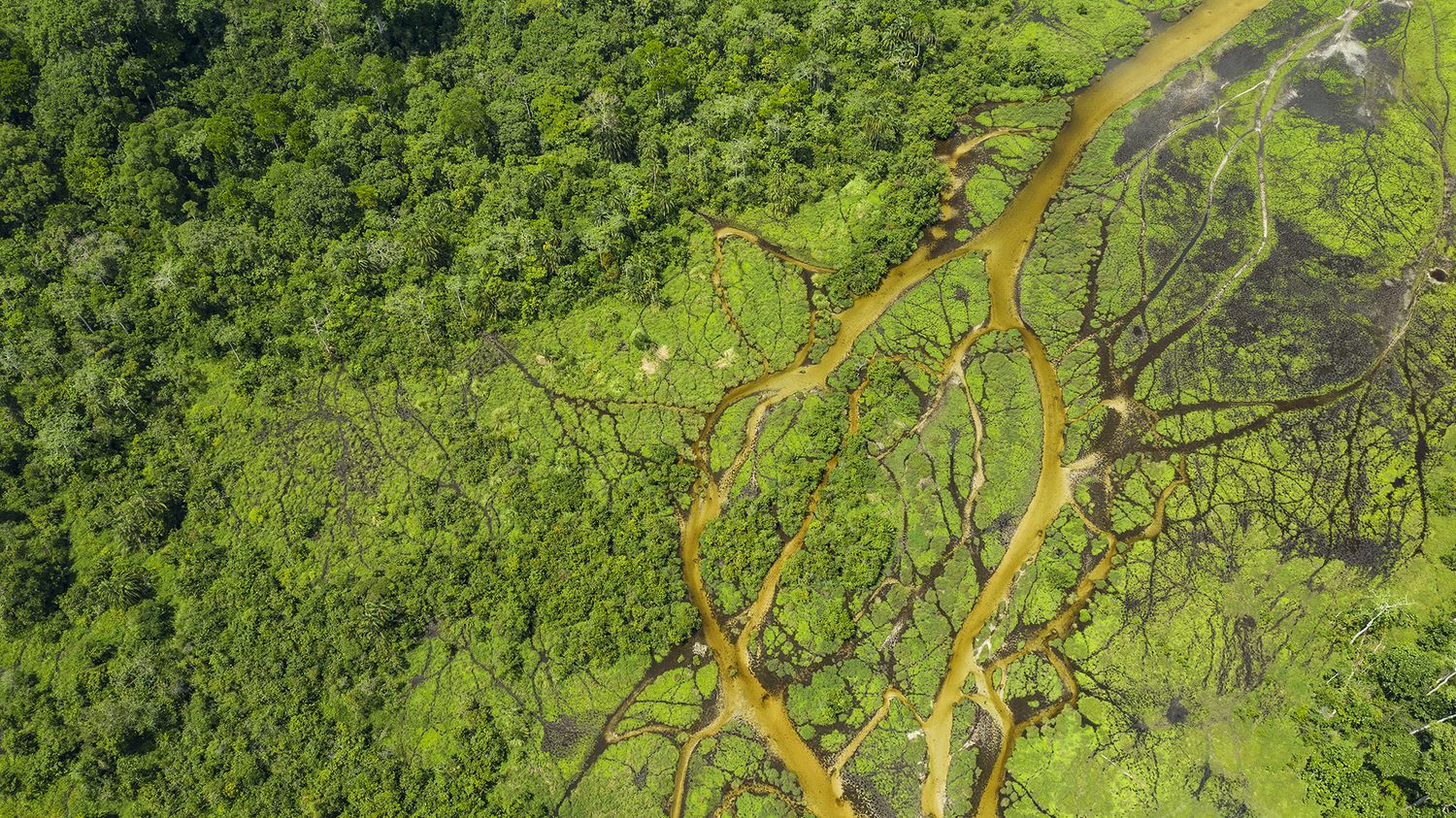 Vidéo



  

  
  

  
  "Nos destins sont liés" : dans le bassin du Congo, le combat pour sauver une forêt moins connue que l'Amazonie mais vitale pour la planète