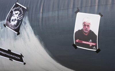 Fondateur de Sea Sheperd, Paul Watson, traqué par le Japon pour vengeance selon la présidente de l’ONG