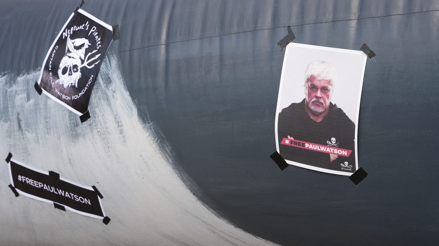 Arrestation du fondateur de Sea Sheperd : "Le Japon est en train de traquer Paul Watson dans une logique de vengeance", déclare la présidente de l'ONG en France