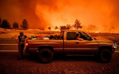 Mégafeu en Californie devient l’un des plus gros de l’histoire de l’État américain