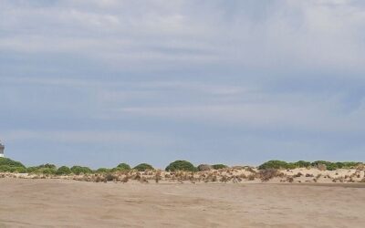 Pollution maritime détectée au large d’une plage du Grau-du-Roi