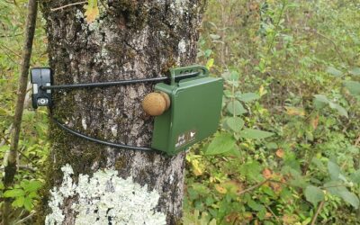 Micros installés en nature pour analyser pollution sonore et biodiversité des forêts françaises