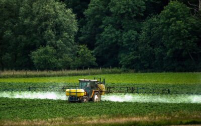 Néonicotinoïdes, herbicides retrouvés dans cheveux et urines d’enfants près de La Rochelle