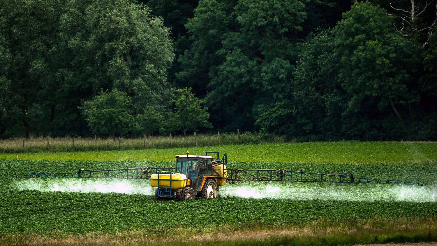 :
    Enquête



  

    
      
    
  
  Néonicotinoïdes interdits, herbicides : des substances préoccupantes retrouvées dans les cheveux et les urines d'enfants près de La Rochelle